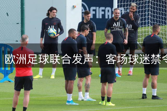 欧洲足球联合发声：客场球迷禁令只能作为最后手段